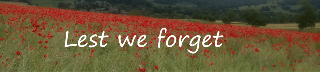 Poppies Lest we forget